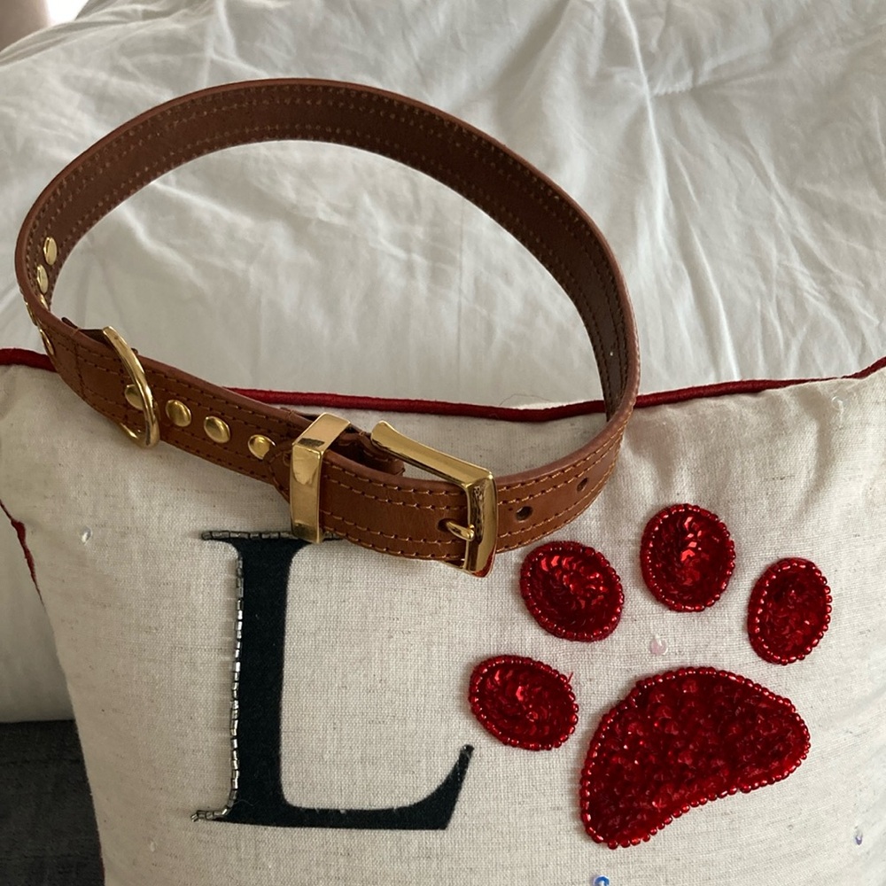 🆕 Brown Genuine Leather Dog Collar with Gold Buckle